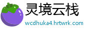 灵境云栈